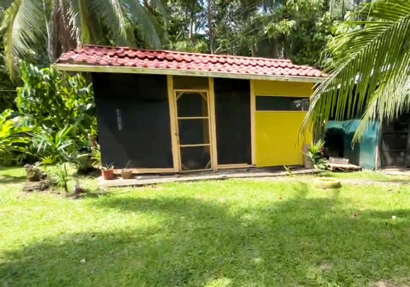A small building with a red tile roof, yellow walls, and a wooden screen door, surrounded by lush greenery.