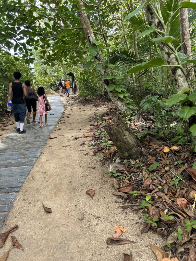 A wooden boardwalk trail in a tropical forest with people walking under lush greenery.