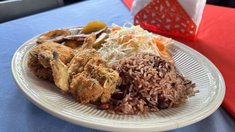 Close-up of Costa Rican beef stew with tender chunks of meat and rich sauce.