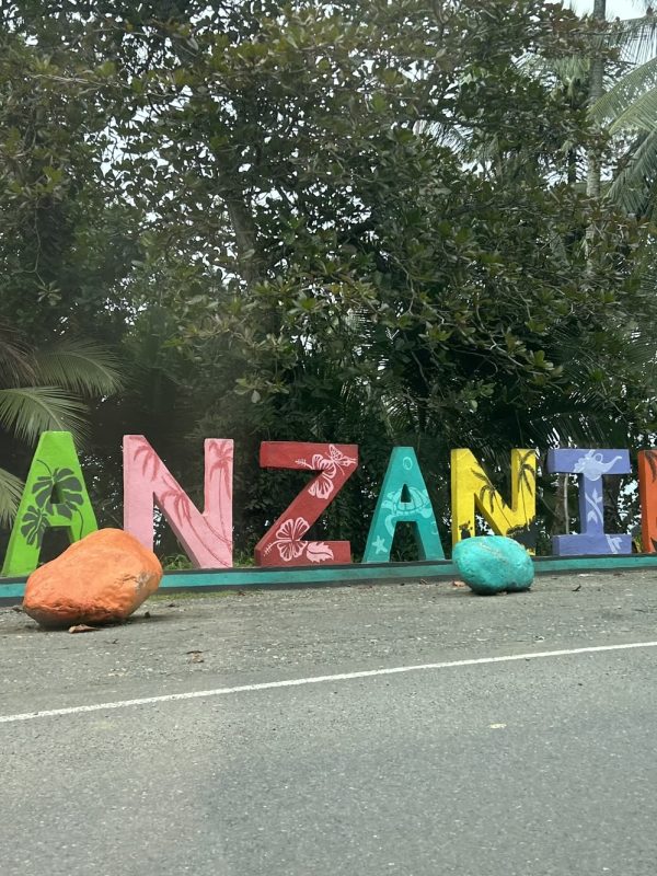 Colorful "Manzanillo" sign along a roadside surrounded by lush palm trees and greenery.